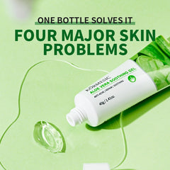 Aloe Vera Gel (Single Item)
