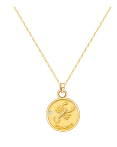 S925 Silver Zodiac Coin Necklace with 14K Gold Chain