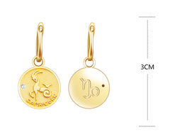 S925 Silver Zodiac Coin Necklace with 14K Gold Chain