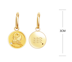 S925 Silver Zodiac Coin Necklace with 14K Gold Chain