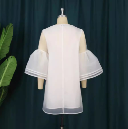 Sweet Mesh Dress for Women