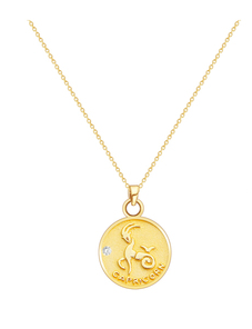 S925 Silver Zodiac Coin Necklace with 14K Gold Chain