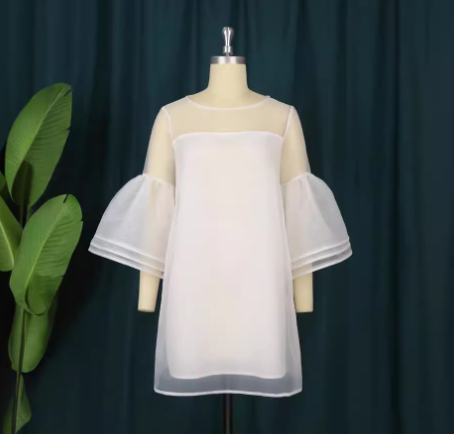 Sweet Mesh Dress for Women