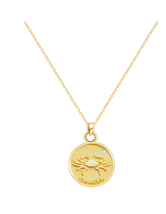 S925 Silver Zodiac Coin Necklace with 14K Gold Chain