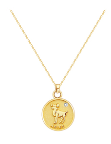 S925 Silver Zodiac Coin Necklace with 14K Gold Chain