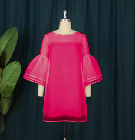 Sweet Mesh Dress for Women
